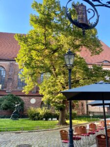 kaffeestube aussenbereich an der nikolaikirche