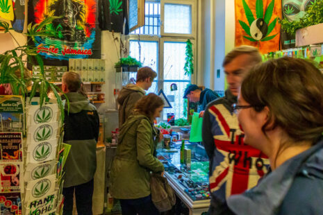 besucher im hanf museum berlin