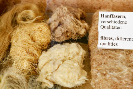 Ausstellung im hanf museum berlin