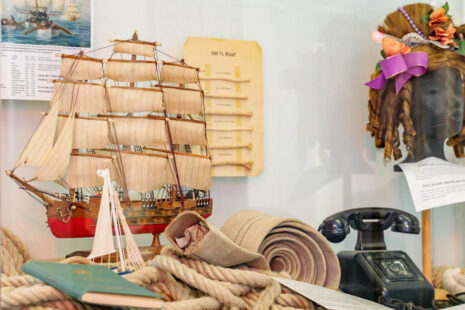 exponate im hanf museum berlin